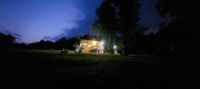 Šumska vila
